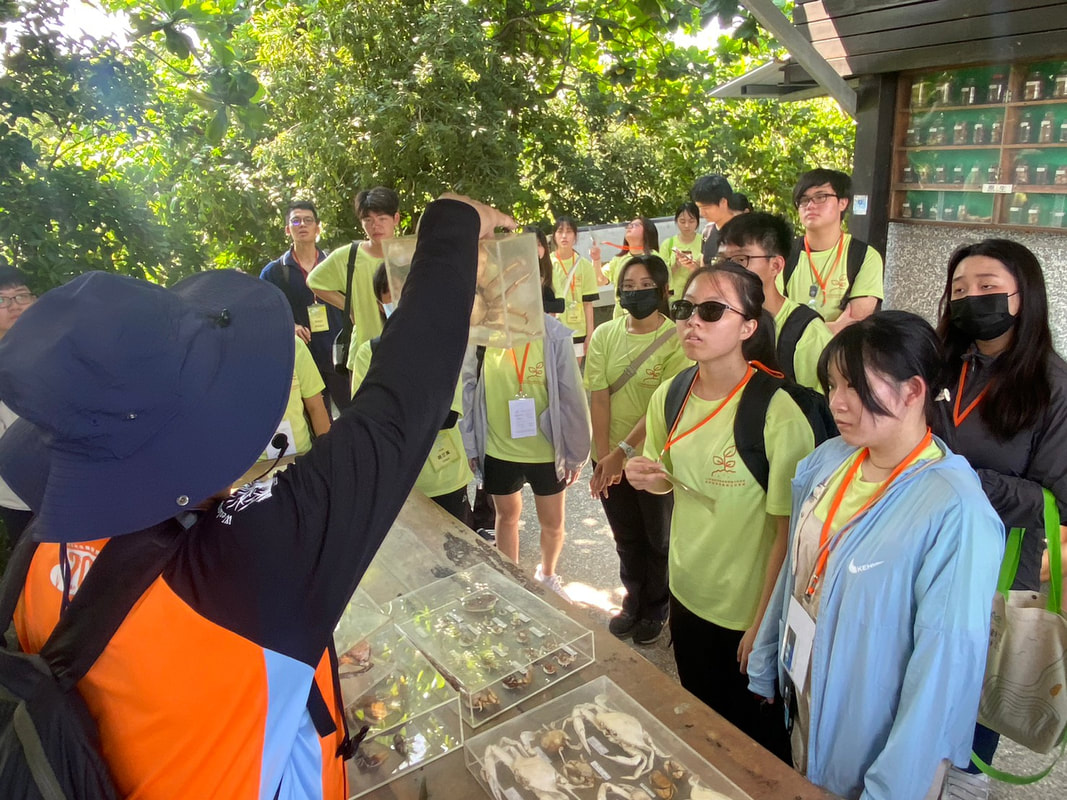 carousel chooser