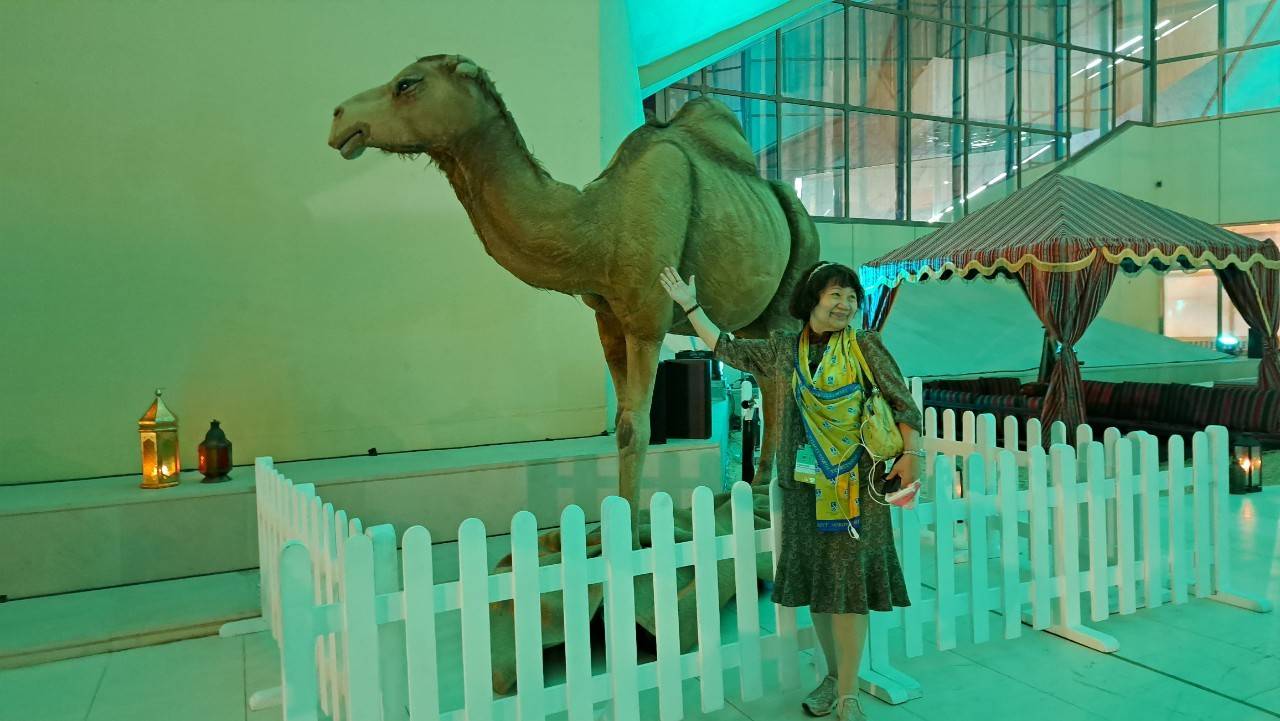 carousel chooser
